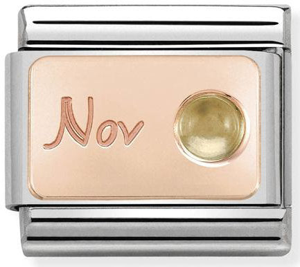 Nomination, S, Steel ve 9K ROSE altın (11_November Citrine).
