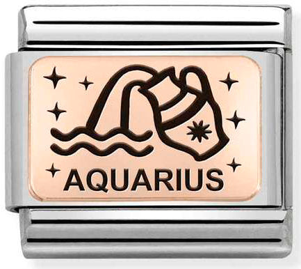 Nomination, COMPOSABLE klasik ZODIAC (IC) çelik ve 9k altın (11_aquarius)