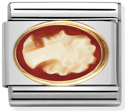 Nomination, 18K altınlı paslanmaz Çelik COMPOSABLE klasik oval taş (12_Cameo)
