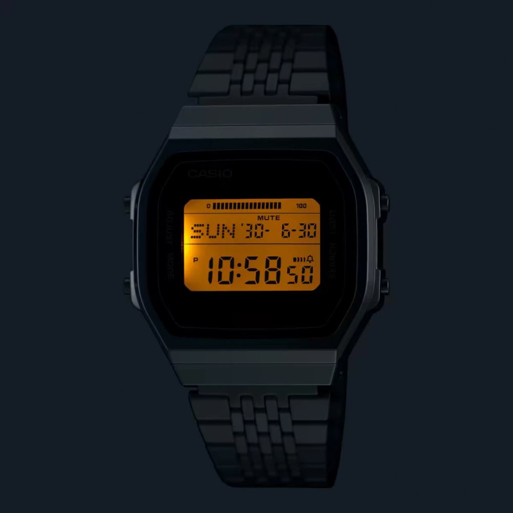Casio ABL-100WEGG-1BDF Unisex Kol Saati